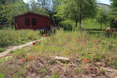 Foto: blühender Schulgarten mit rotem Gartenhaus